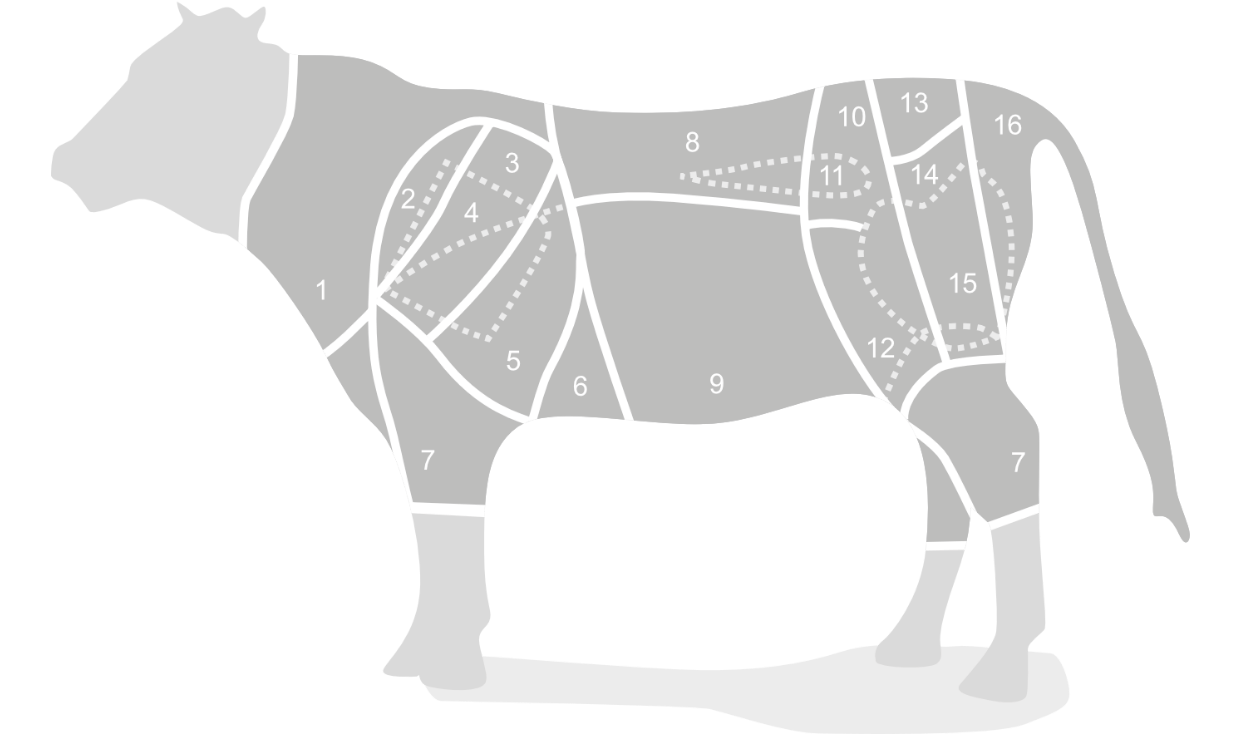 Infographic presenting an overview of various beef cuts.